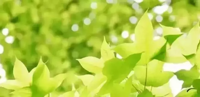最簡單的長壽口訣!每個人都該背下來