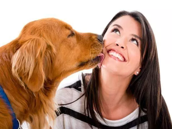 狗狗為什麼一直舔爪子?舔地板?舔主人呢