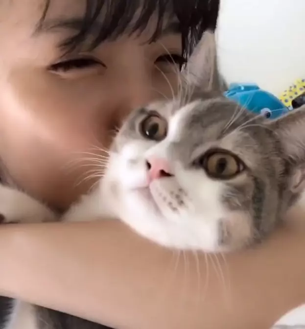 奴才又發作了...緊抱主子「大口大口吸」!網友同感:吸貓真的很難戒~