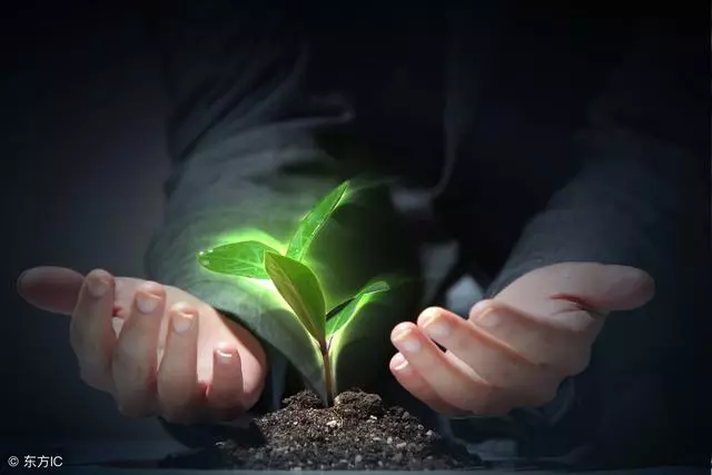 生命,有一種看不見的生長力量叫「自愈」,能讓70%病症不治而愈