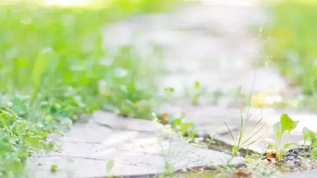 越窮越不要著急掙錢,先做好這三件事你才能越來越好,很現實!
