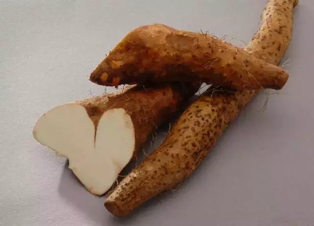 秋季第一補、第一菜、第一粥原來是它們!天天都能吃,家家都有