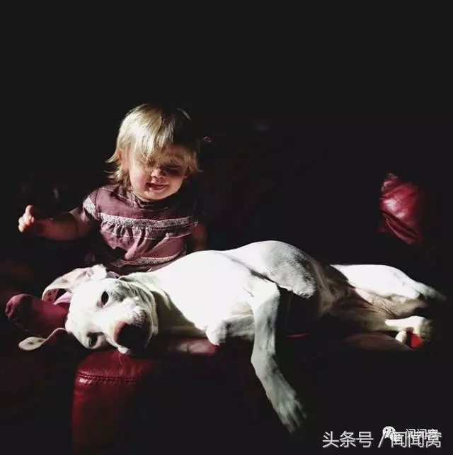 狗狗慘遭虐待,封閉自己……直到遇見她對Ta說:孩子別怕,帶你回家