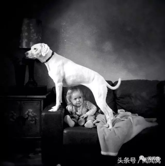 狗狗慘遭虐待,封閉自己……直到遇見她對Ta說:孩子別怕,帶你回家