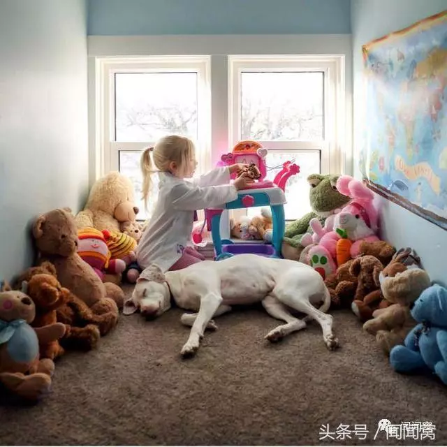 狗狗慘遭虐待,封閉自己……直到遇見她對Ta說:孩子別怕,帶你回家