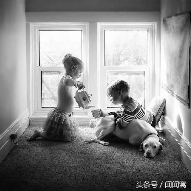 狗狗慘遭虐待,封閉自己……直到遇見她對Ta說:孩子別怕,帶你回家