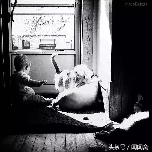 狗狗慘遭虐待,封閉自己……直到遇見她對Ta說:孩子別怕,帶你回家