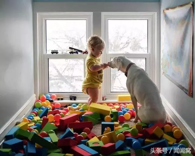 狗狗慘遭虐待,封閉自己……直到遇見她對Ta說:孩子別怕,帶你回家
