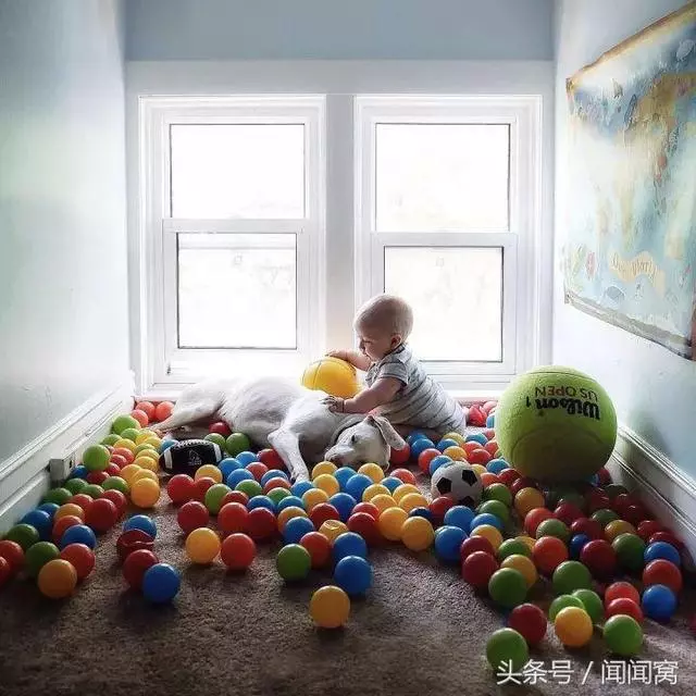 狗狗慘遭虐待,封閉自己……直到遇見她對Ta說:孩子別怕,帶你回家