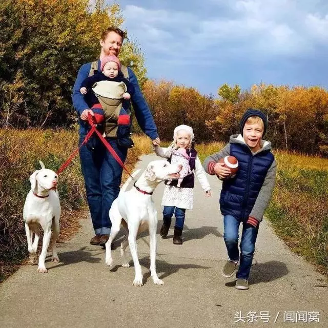 狗狗慘遭虐待,封閉自己……直到遇見她對Ta說:孩子別怕,帶你回家