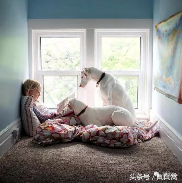 狗狗慘遭虐待,封閉自己……直到遇見她對Ta說:孩子別怕,帶你回家