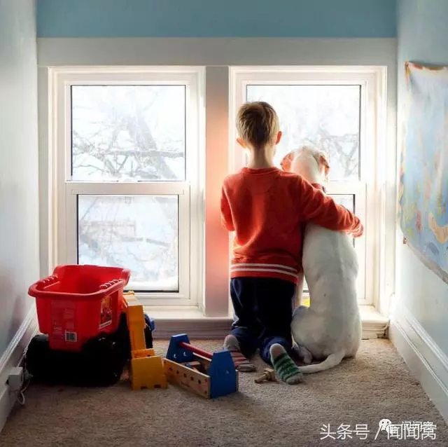 狗狗慘遭虐待,封閉自己……直到遇見她對Ta說:孩子別怕,帶你回家
