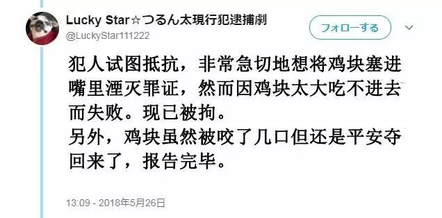 「偷吃被逮到」還不放手!喵喵不願認錯「緊抓雞塊」:為什摸要跟我搶肉肉~