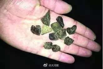 一男子下毒害狗終被判刑!正義可能會晚來,但是永遠不會缺席