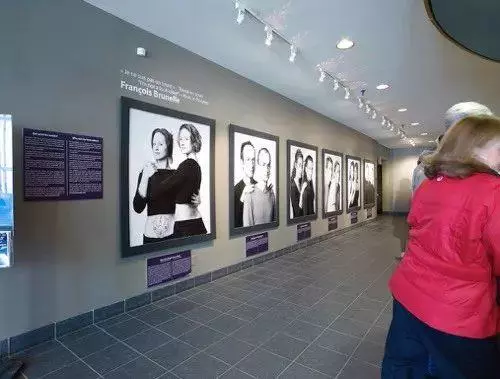 這地球上肯定有個人和你長得一模一樣……你敢相信嗎