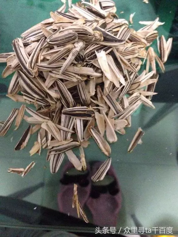 房子是我爸媽給我買的,你們都住進來,我成了外人!