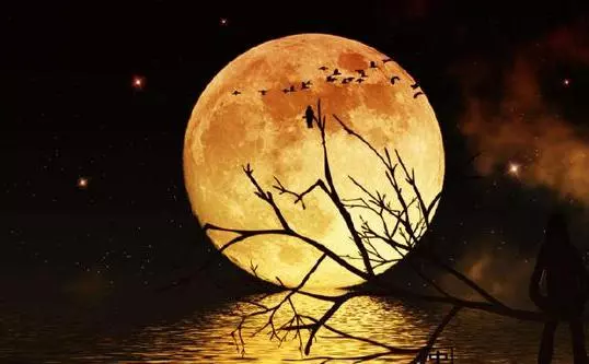 心理學:哪個月圓之夜你最喜歡?測你的另一半會不會害怕失去你