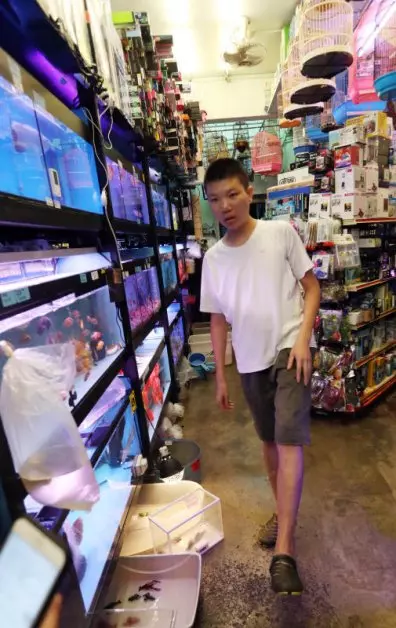 寵物鳥啄傷手指 送餐男退貨 索賠 打人