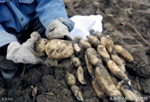 營養師提醒:想要秋天少生病,就多吃這些食物,滋補效果不輸人參