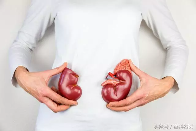 人老了以後腎臟會有什麼改變?如何保養腎臟?