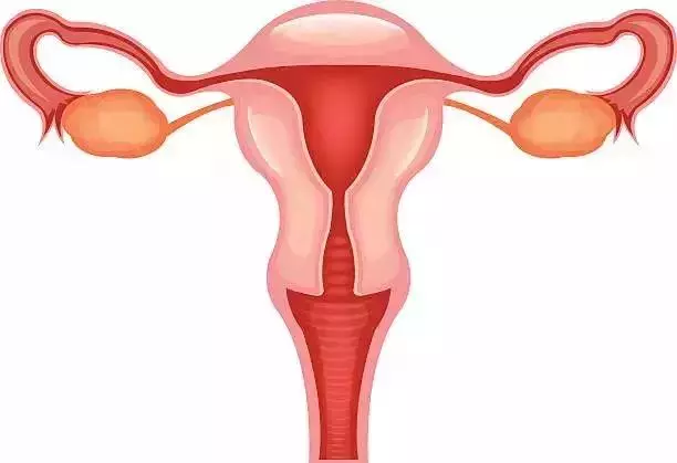 卵巢癌成「婦科第一癌」!6大危險因素,幾乎每個女性都可能中招