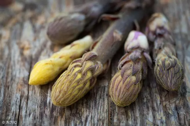 牙齒鬆動可能是腎不好,教你3款食療方,生活做好5件事,腎好牙好