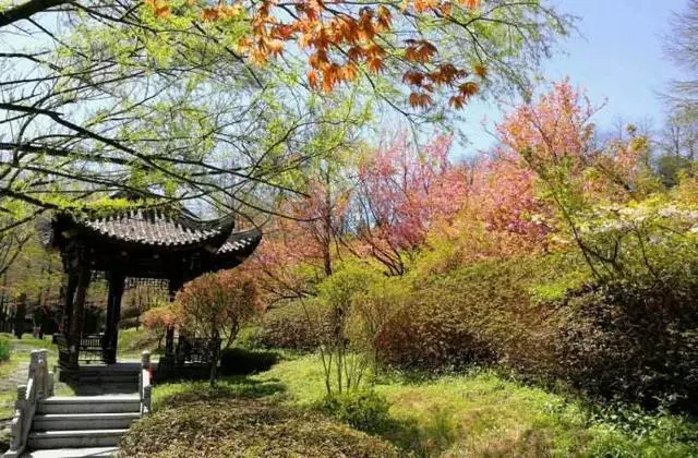 最好的風景在路上,隱藏於浙江深處的六條自駕公路