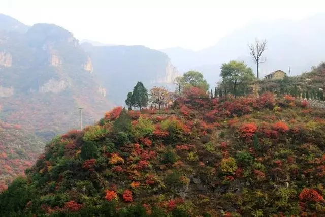 岳飛的後代為避世在太行深處建了一個世外桃源——岳家寨