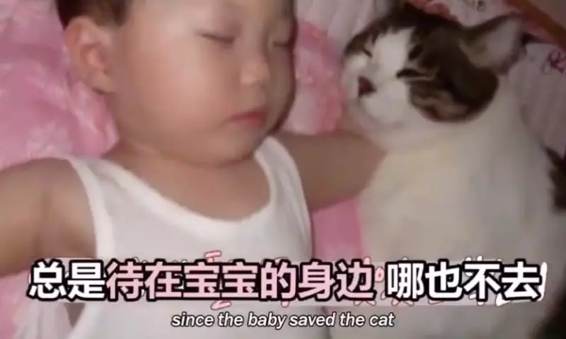 妳的愛太強烈...主子「承受不住」媽從頭教起 網贊:愛是需要學習的