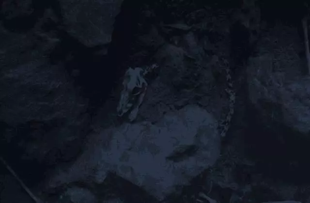 漫威宇宙:鐵拳第2季中,你不知道的20件事!