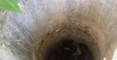 老漢狠心把狗丟棄在深井中,村民熱心營救,再見時已物是「狗」非