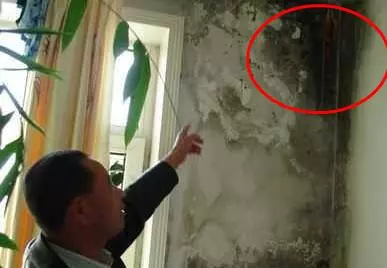 牆面起皮發霉不用找裝修工,老師傅教你一招,連女人都能修補好