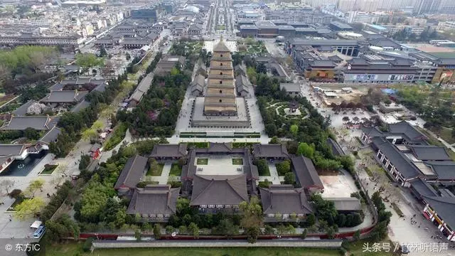 沉默是金,智者寡言!