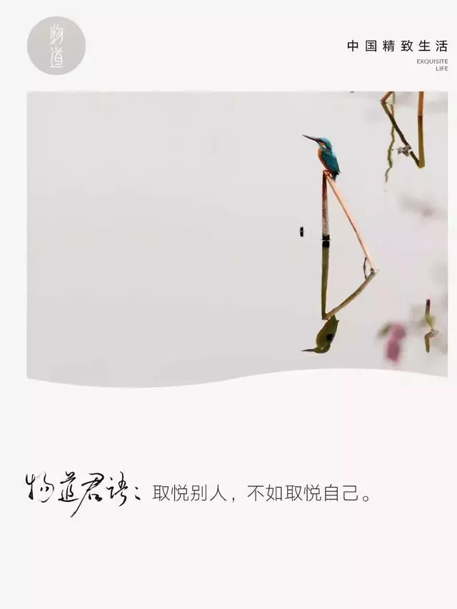 取悅自己,是最高級的幸福