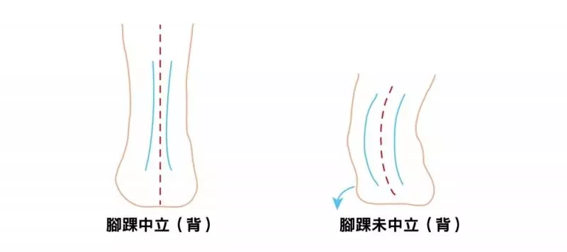不要再說膝蓋不能超過腳尖了!快跟健美女大生來學正確的「深蹲」,翹臀、美腿都離你不遠了