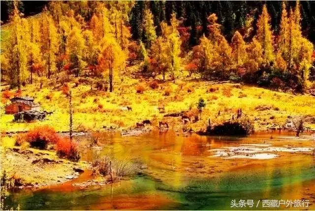 忘了稻城亞丁吧,這才是川西的秘境