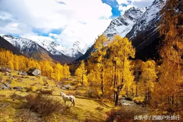 忘了稻城亞丁吧,這才是川西的秘境