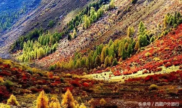 忘了稻城亞丁吧,這才是川西的秘境