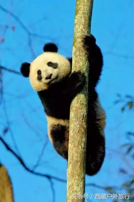 忘了稻城亞丁吧,這才是川西的秘境