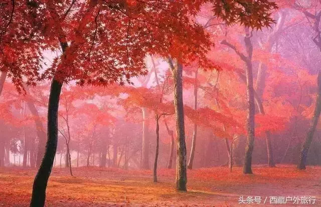 忘了稻城亞丁吧,這才是川西的秘境