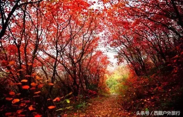 忘了稻城亞丁吧,這才是川西的秘境