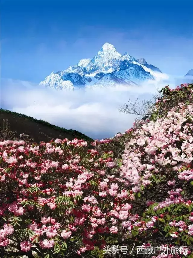 忘了稻城亞丁吧,這才是川西的秘境