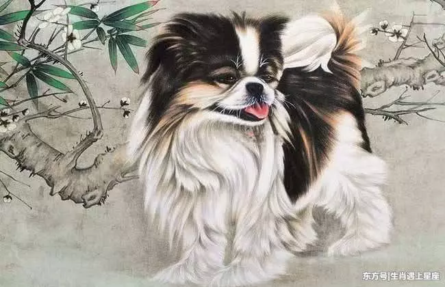 屬此3個生肖的人,十人九發,再窮的日子也能轉富!