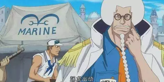 海賊王:藤虎臉上的傷疤是誰造成的?戰國和綠牛給出答案!