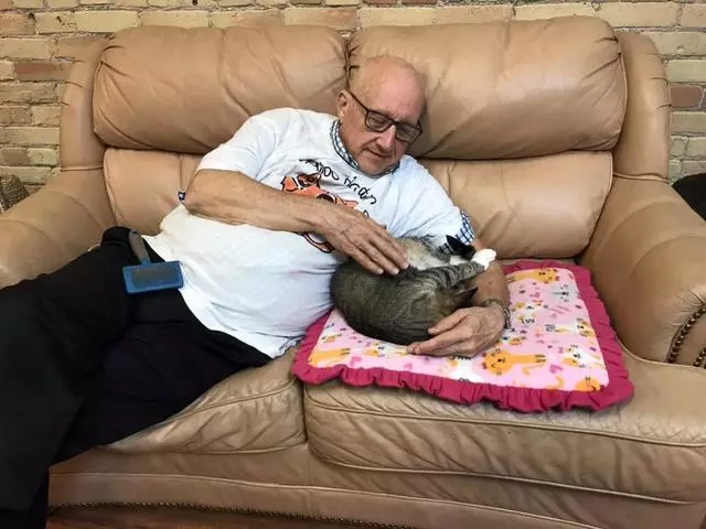 美國退休教師抱著貓打瞌睡,一覺醒來竟成網紅,還上了BBC新聞