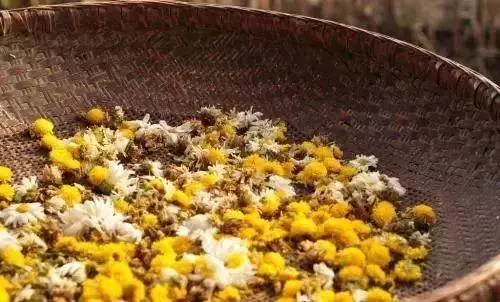 會喝粥的人最長壽!秋季喝粥加點它,延年益壽、效果翻倍!