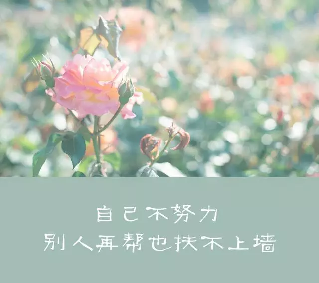 人生的路靠自己走,自己不努力,別人再幫也扶不上牆!轉給孩子看
