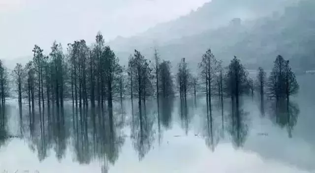 弱者易怒如虎,強者平靜如水(深度好文)