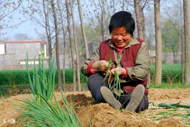 嫁人後我媽不讓回家,在菜市場遇到嫂子,我才知道了真相