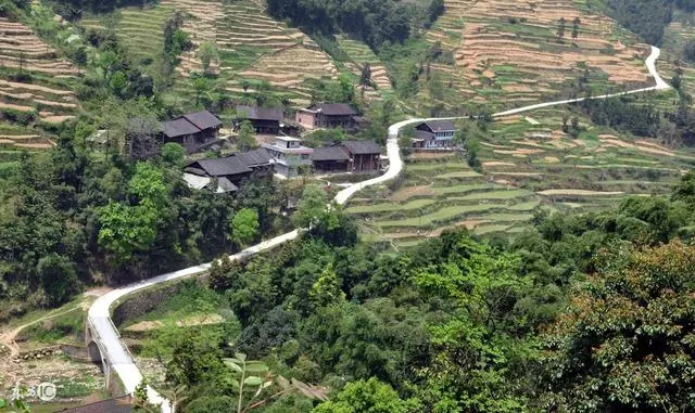 嫁人後我媽不讓回家,在菜市場遇到嫂子,我才知道了真相